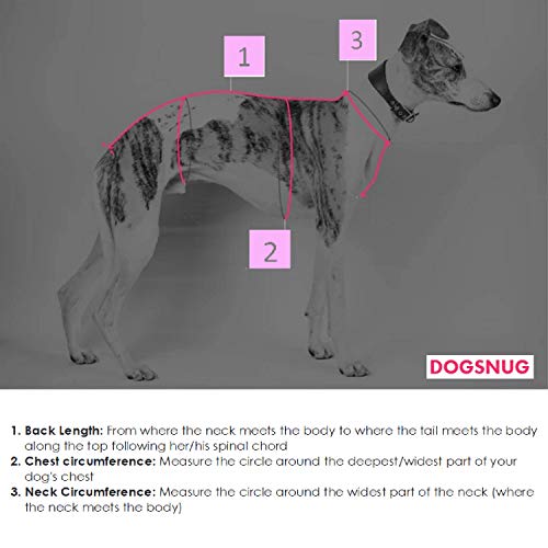 What Are Deep Chested Dogs