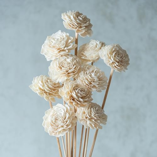Image of White Sola Bingo 8 cm On Stem (10 Sticks) | Natural Dried Flower | Eco-Friendly Flowers for Home, Office, Bedroom, Table Decoration and Craft Items Corner (Without Vase Pot)