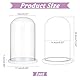 nbeads Glas-Display-Cloche-Kuppel, Dekorative Glaskuppelabdeckung Durchsichtige Glockenglas-Vitrine Mit Weißem Holzsockel Für Sammlerstücke Rose Büro Zuhause Tischdekoration, 15x25.5cm