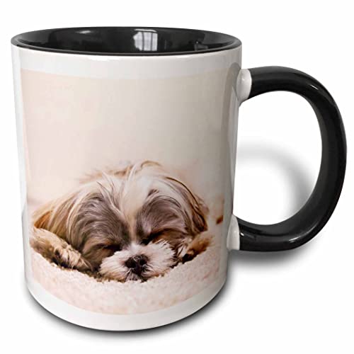 3dRose Ceramic Shih Tzu Sleeping Best Friend Mug, 1 Count (Pack of 1), Black
