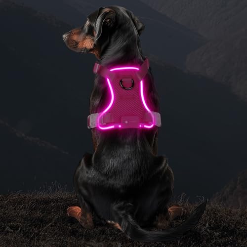 MASBRILL Light Up Harness, Rechargeable LED Dog Harness for Puppy to Large Dog 7 Colors, 13 Lighting Modes, Glowing