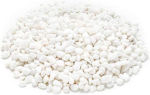 WUWEOT 12-lb White Decorative Bean Pebbles, 0.2" Natural Gravel Rocks for Plants, Succulents, Vases, Aquariums and Terrariums