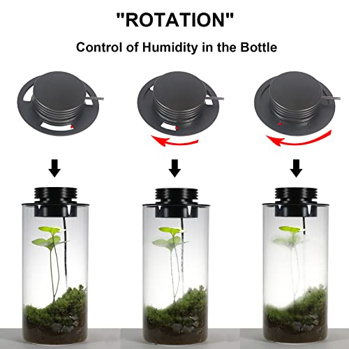 Desktop Glass Plant Terrarium with Grow Light (H:7.8\" D:4\"), for Succulent, Moss, Miniature Gardening Landscape, Betta Fish Tank, Indoor Plant Growth, Office Home Decoration, Plant Lovers Gifts