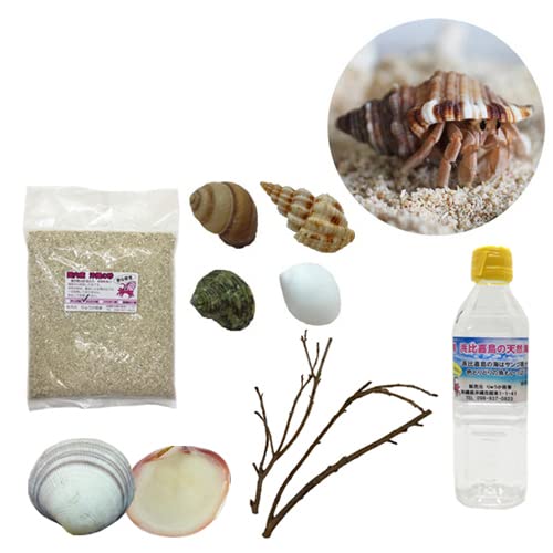 Amazon.co.jp: オカヤドカリ飼育セット SSサイズ(生体×1匹・貝殻・砂×1