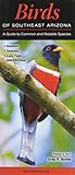 Birds of Southeast Arizona: A Guide to Common & Notable Species (Quick Reference Guides)