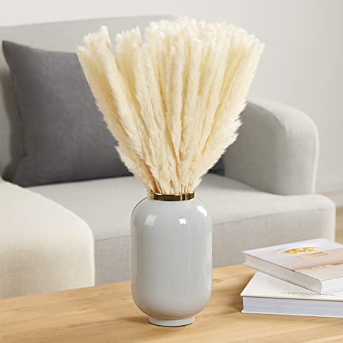 Blumtal 30 Stück Pampasgras getrocknet - Extra Lange Trockenblumen Pampas Grass, 58-60cm, Weiß