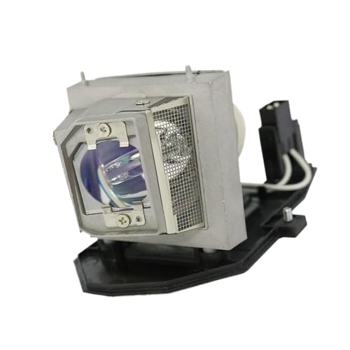 Ampoules nues pour projecteur Optoma BL-FU190D GT760 W303ST X305ST
