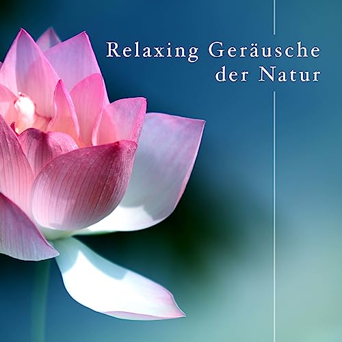 Relaxing Sounds of Nature White Noise for Mindfulness Meditation Relaxation Music Club