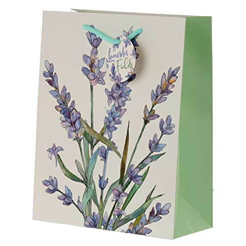 HoitoDeals 1 Pcs Gift Bag Gift Wrap Bags with Handles For Birthday, Christmas etc.