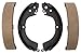 Raybestos 728PG Professional Grade Drum Brake Shoe Set