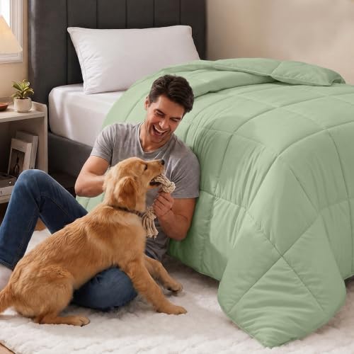 Image of Utopia Bedding Twin Comforter, Duvet Insert, Sage Green, 64 x 88 Inches