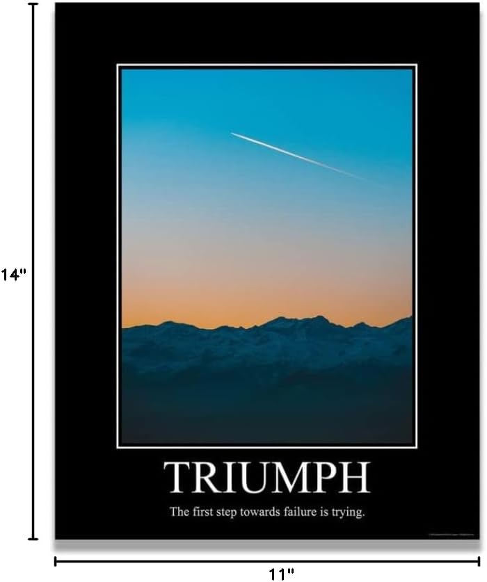 Triumph Demotivational Poster Ironic Snarky Funny Sarcastic Office Wall Decor Art Print 11x14 Inches Unframed