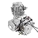 200CC 250CC ATV Engine Motor, 4-Stroke Air-Cooled Motorcycle Motor with 5-Speed Manual Gear Shift & CDI System, High Power 7500RPM Single Cylinder Engine for ATV Quad Bike