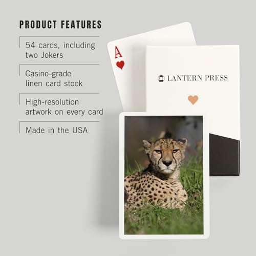 Lantern Press Cheetah in Grass, baraja de 52 cartas póker miniatura 3