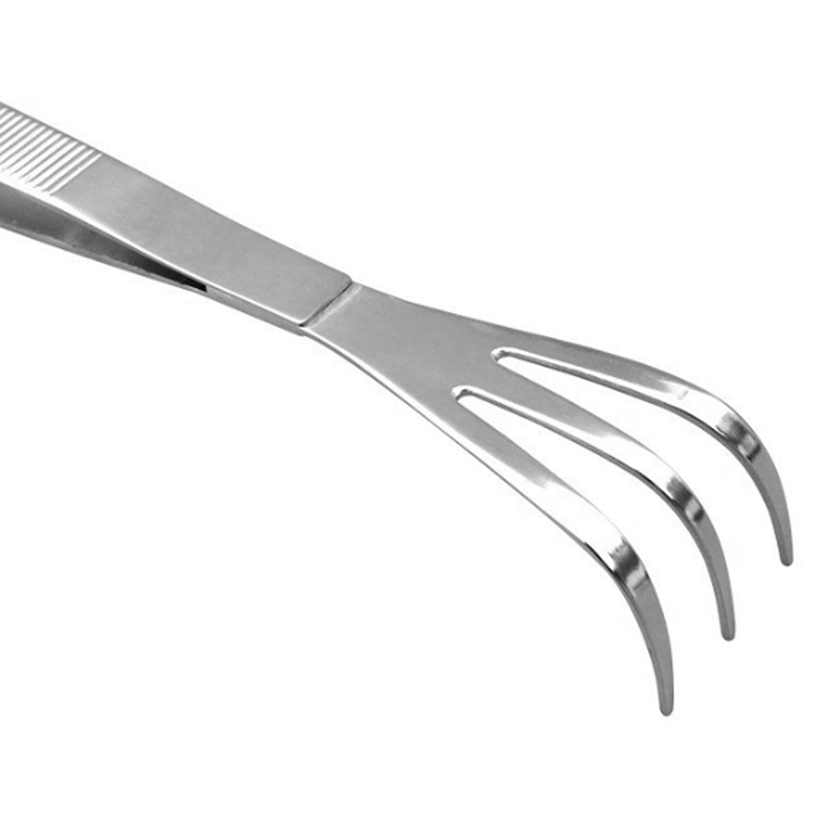 Sarini Pinzetta per Bonsai 2 in 1 con rastrello per Radici - Pinzetta da Giardinaggio di precisione in Acciaio Inossidabile, Strumento Professionale per Bonsai da 220 mm (8,6 Pollici)