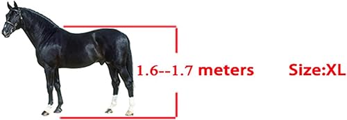 Miniatura 2 de 4 botas de tendón de caballo, gruesas de poliuretano, botas de caballo ligeras con frente abierto, botas de pierna de caballo traseras para