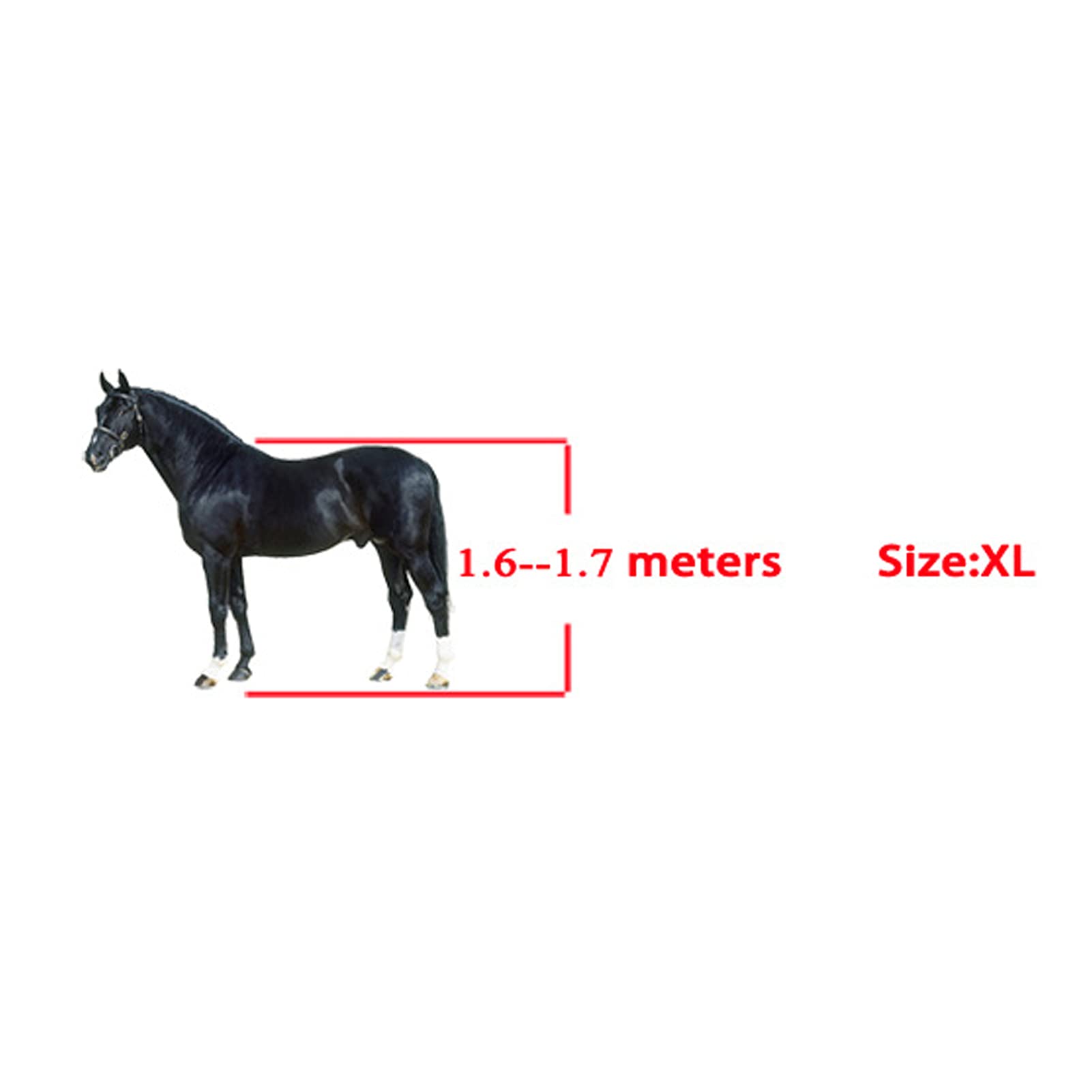 Botas de tendón de caballo, carcasa gruesa de poliuretano y acolchado de neopreno para apoyo de salto, protectores de pierna delanteros y traseros para equitación, entrenamiento, competición