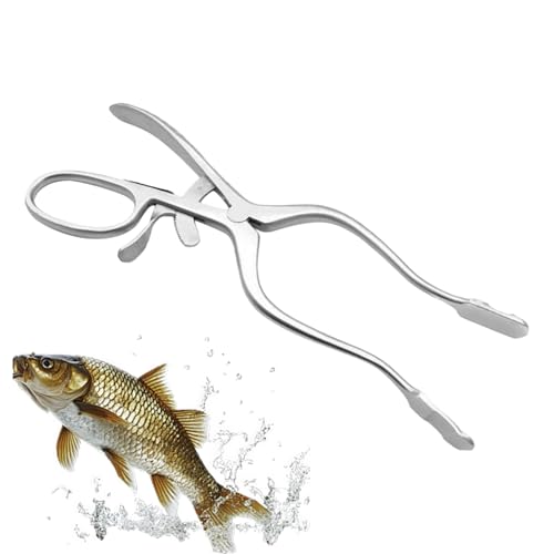 Outil de prise de poisson pour pêche en eau peu profonde et traîne marine