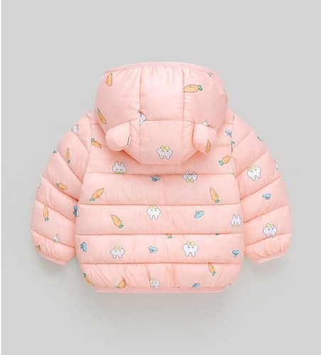 Image of Bold N Elegant Kid's Standard Length Polyester Winter Dinosaur Bomber Jacket Hoodie Puffer Quilted Jacket Coat for Baby Boys and Girls