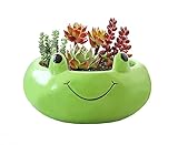 123Arts Ceramic Frog Planter - Hand Painted Flower Pot Animal Succulent Planter