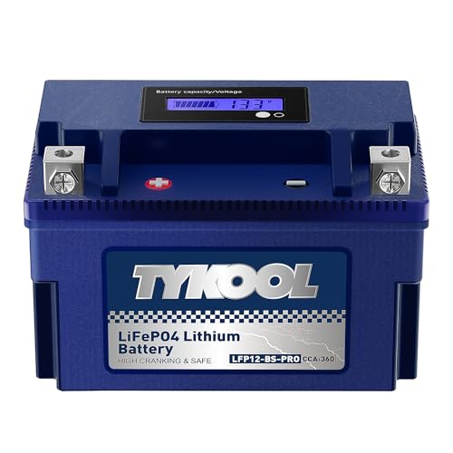YTX12-BS LiFePO4 motorcycle battery