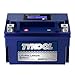 YTX12-BS High Performance LiFePO4 Lithium Motorcycle Battery,360CCA,12V 6Ah,Digital Readout,Fits for Honda TRX250 Recon,Suzuki LT-F250 Ozark,BRP (CAN-AM) DS250 ATV,Polaris RZR UTV,Vespa 300cc Scooter