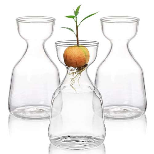 Image of Hiceeden 3 Pack Avocado Seed Starter Vase for Growing, Glass Acorn Tree Growing Kit Vase, Small Avocado Tree Plant Pot Seed Planter, Flower Bud Vases Gift for Gardening Lovers