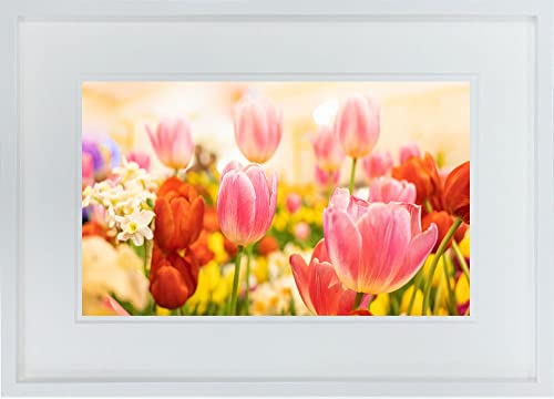 A.P.J WITH FOTO 額縁付き インテリアアート A3 チューリップの花畑/Beautiful flower tulips