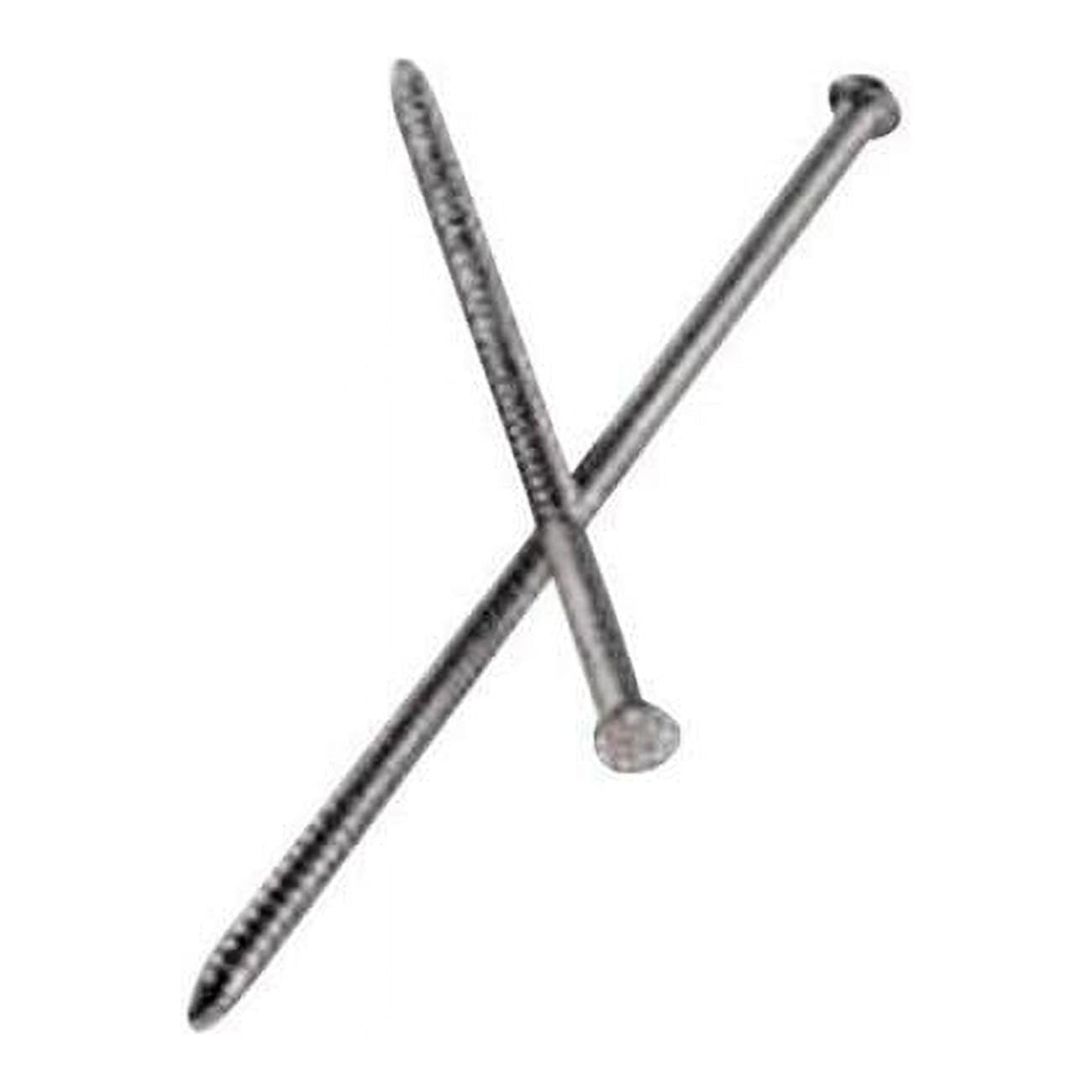 3D 1.25 in. Round Head Ring Shank Trim Stainless Steel Nail, Pack of 196-1 lbs