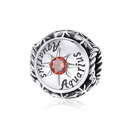Image of 12 Constellation Charms 925 Sterling Silver Crystal Zircon Charms Family and Friends' Birthday Charm Birthstone Charms for Women Bracelets