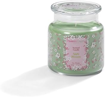 Hassett Green London Scented Candle Jar - Hearts & Roses (22 OZ)