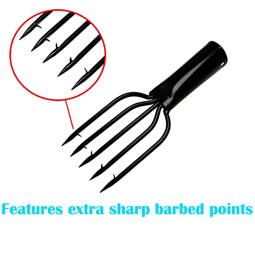 DZS ELEC 5 Prong Fishing Spear Black Stainless Steel Barbed Fish Harpoon with Glochidium, Eagle Claw Tine Fish Gaff, Fishing Fork with Hooks for Hunting Fish Frog, AFISH4 Fish Spear - Thumbnail 6