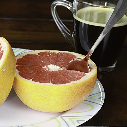 Chef Craft Colher de toranja serrilhada, 16,5 cm de comprimento conjunto de 2 peças, aço inoxidável