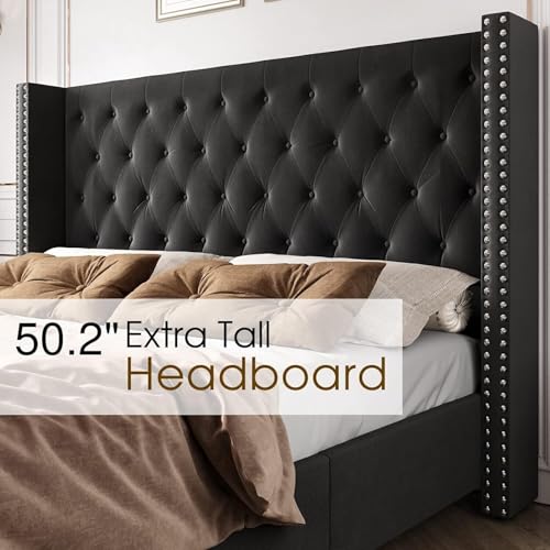 Image of Wooden Modern Upholstered King Size Bed for Bedroom | Wooden Double Bed Without Storage | Platform Cot Upholstered Bed with Upholstery Fabric | Engineered Wood | 6.5 x 6 Ft | Black Waylen