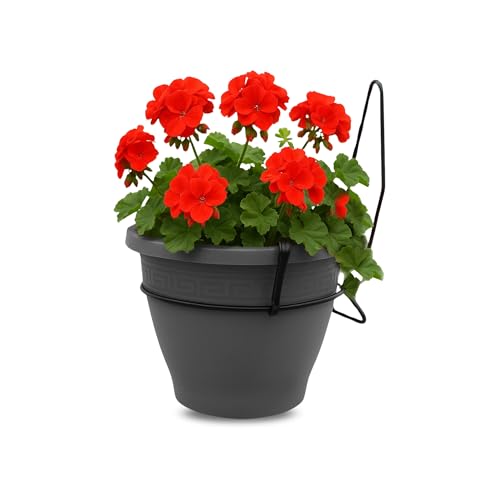 Macetero con Soporte de Pared, Maceta Redonda plástico, Tiesto Colgar Flores, Fabricado en Polipropileno, Recipiente Pared para Flores, 18 cm diámetro x 16 cm Base x 18 cm Alto, Antracita