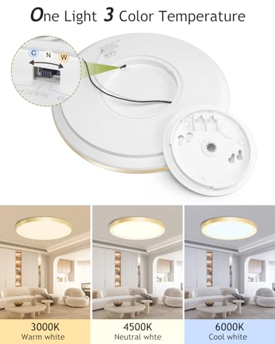 image for hepside 2PACK Flush Mount LED Ceiling Light Fixture Golden, 12Inch 28W