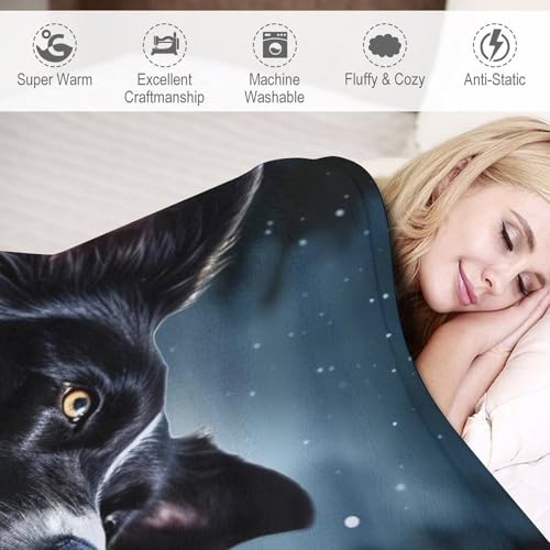 Couverture Border Collie 3D idéale pour vos soirées canapé cocooning - 4