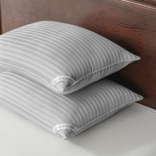 Basic Beyond Standard Size Pillows Set of 2, 20x26, Silver
