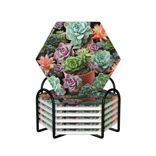 6Pcs Drink Coasters with Holder, Absorbent Coaster for Drinks, Ceramic Stone Mat Succulents Cup Coasters with Cork Base for Tabletop Protection Mat Home Decor Gifts