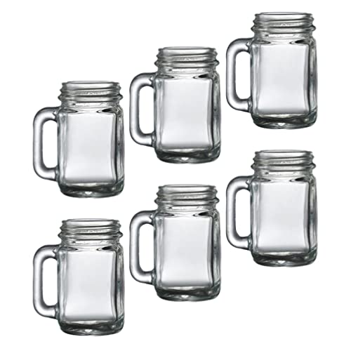 Zerodeko Mini Mason Wine Glass, Clear Glass Beer Mug with Handle