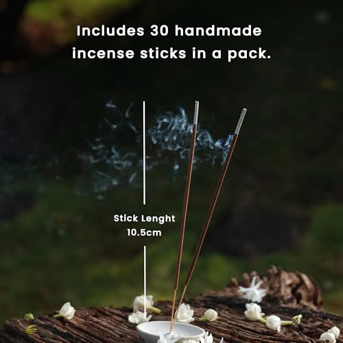 NYASSA Highly Scented Mountain Musk Agarbatti/Incense Sticks - 50g, Earthy Musk Fragrance, Charcoal-Free Agarbatti for Pooja, Meditation, Home Freshness & Perfect for Special Occasions