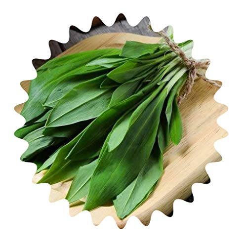 Wildflower/50 Seeds/Ramsen/Similar Garlic Flavour