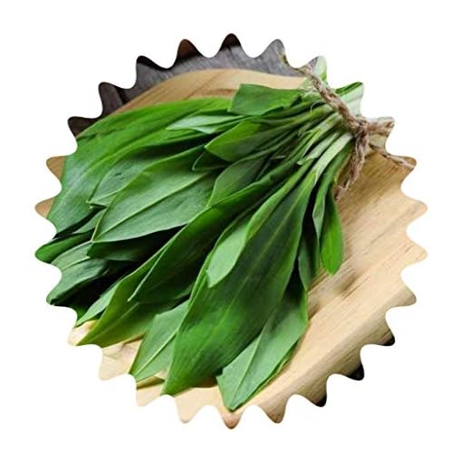 Aglio selvatico/circa 50 semi/arieti/cibo sano/tipo aglio