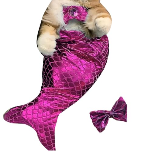 Ropa cómoda de cola de para gatos y perros con ajuste suave de Halloween 7