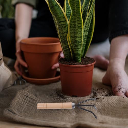 Set de herramientas de jardinería 3 piezas con pala y rastrillo miniatura 5