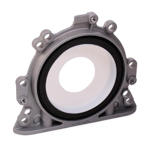 Amazon.com: Reinz 81-90010-00 Shaft Sealing Ring, Crank Axle