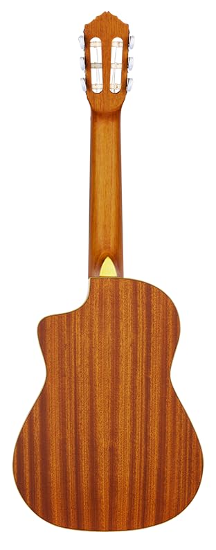Amazon | Ortega Guitars Requinto シリーズ6弦アコースティックギター