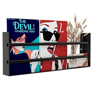 Magazine Holder Wall Mounted – Modern Minimalist Magazine Rack File Storage Organizer Display Brochure Holder for Living, Kids, Bathroom, Waiting Room, Office & Home Decor