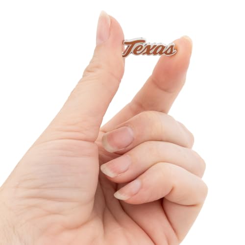 Image of Desert Cactus UT Austin Longhorns Magnetic Metal Lapel Pin (E)