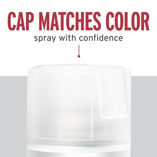 Image of Rust-Oleum 285092 Stops Rust Spray Paint, 12 Oz, Satin Clear (Pack of 4)